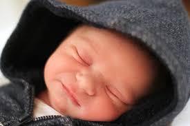 Nikki Herr Photography