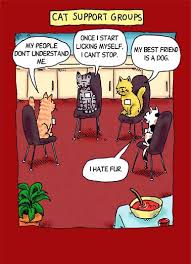 The cards have the heart animals all assembled for you (my girls loved the heart animals but didn't have the energy to assemble 25+ for all their friends and. Valentine S Day Ecards Cats Funny Ecards Free Printout Included