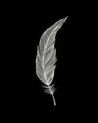 One Feather White Black Art Print By Jen Posford Society6 Feather Drawing Black And White Art Drawing White Art