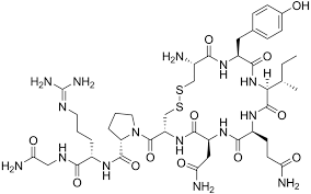 「"leave a comment" -"anti spam" ceratohyoid」の画像検索結果