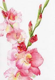 Pink Gladiola By Linda Hoover Gladiola Painting Watercolor Flowers Tutorial Floral Watercolor