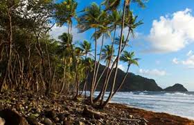 Nachfolgend finden sie informationen zum klima, zur besten reisezeit und zum wetter für das urlaubsziel kreta. Die Besten Strande Auf Dominica Gevgelija Tourism Werde Ein Erfahrener Reisender