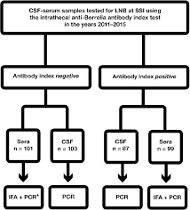 study flow chart csf cerebrospinal fluid pcr polymerase