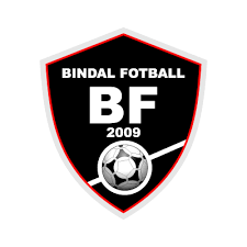 Free team fotball vector download in ai, svg, eps and cdr. Bindal Fotball Vector Logo Freevectorlogo Net