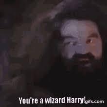 You're a wizard harry memes. Youre A Wizard Harry Gifs Tenor