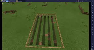 Como sembrar cactus paso a paso. Como Construir Una Granja De Vegetales Y Frutas En Minecraft Bluestacks