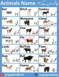Also learn how to form masculine and feminine and how they are made. 200 Vocabulary Topics Ideas Vocabulary English Vocabulary Learning Arabic