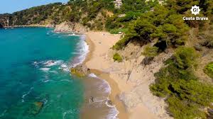 Reserva online en apartamentos cala llevadó. Cala Llevado Strande Was Mochten Sie Tun Costa Brava Pyrenaen Von Girona