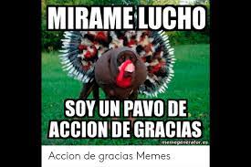 10 best thanksgiving memes funny thanksgiving memes to share. Facebook A Reir Los Mejores Memes Por El Dia De Accion De Gracias 2019 Thanksgiving Day Estados Unidos Fotos Viral Memes Mag
