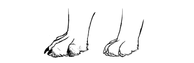 Sketchbook Original How To Draw Dogs Monika Zagrobelna Add ears to the head and a small tail to the rear end, as illustrated in figure 1.4. sketchbook original how to draw dogs
