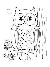 You can use our amazing online tool to color and edit the following owl coloring pages. Realistic Printable Owl Coloring Pages Novocom Top