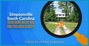 Priority pest & contracting anderson pasta indekss 29625. Pest Control Simpsonville Sc Your Home Needs Us