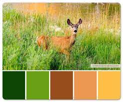 Deer In Field Color Palette Grayscale Coloring Grayscale Outdoor Color Palette