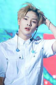 Kpop Straykids In Jeongin Stray Baby Fox Kids