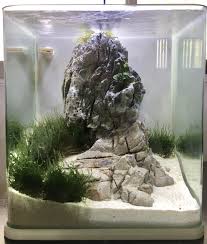 Pin By Caalnova On Nano Tank Aquascape Aquarium Hardscape