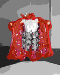 Bildergebnis für Kelly Heaton