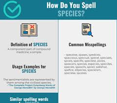 Correct Spelling For Species Infographic Spellchecker Net