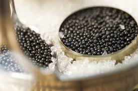 Tsar caviar is a gourmet destination for caviar experts as well as beginners, we have a wide selection of premium and first grade caviar from sturgeon farms all over the globe. Interesting Facts You Need To Know About Beluga Caviar Caviar Market News And Analysis