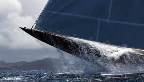 Image result for america's cup 2017