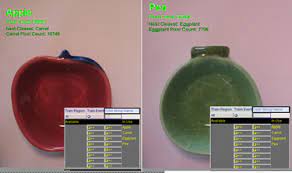 A monthly inspection color for may would be green and yellow, or for december would be orange and blue. Color Tools Vision Tools Cognex