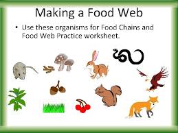 07.11.2012 · a food web is all of the food chains in an ecosystem. Food Chains Webs The Ultimate Energy Source Energy