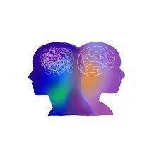 Image result for Bipolar Disorder