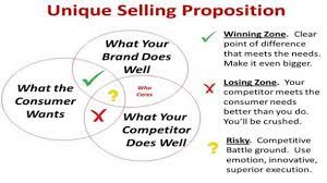 How To Create Accurate Buyer Personas And Unique Selling Propositions Sproutmentor Unique Selling Proposition Brand Positioning Statement Marketing Plan