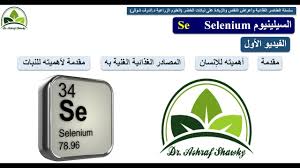 123 أهمية عنصر السيلينيوم Se للإنسان والنبات والمصادر الغذائية الغنية به Youtube