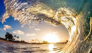 Image result for song bien