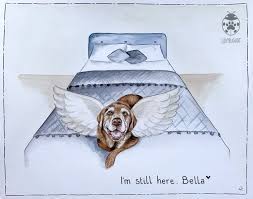 From cuddly little chipmunks and prairie dogs to a white tiger and a comical black bear. I Paint Dogs As Guardian Angels 12 Pics Bored Panda