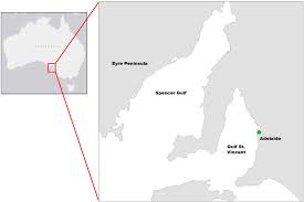 Defining timeless style since 1967. Frontiers Estimating Mangrove Tree Biomass And Carbon Content A Comparison Of Forest Inventory Techniques And Drone Imagery Marine Science