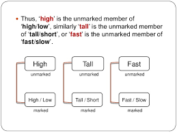 Shortly, semantics concerns the study of meaning. 13 Semantics Synonym Antonym Homonym Hyponym Polyseme Idioms
