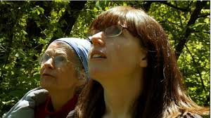 Open Mic: The Field Glass Ceiling « ABA Blog