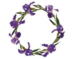 Beginning with christianity, the title viola odorata means our lady of modesty and thus the flower is associated with mary's humble nature and her. Iris Flower Meaning Symbolism Mythology Planting Irises Uniguide