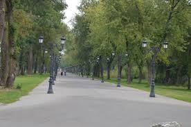 44° 31' 45 north, 26° 0' 0 east. GrÄƒtare Si Miraj Istoric Palatul Mogosoaia Efoartebine Ro