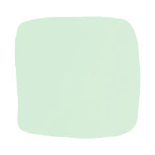 Color Atelier Lime Wash Paint Minted