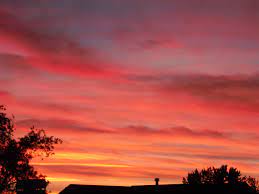 We did not find results for: Pink Orange Sunset Novocom Top