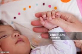 Image result for Marquesia