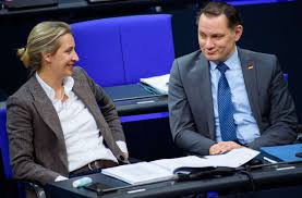 Alice weidel (afd) zu gast: Mylmrvnep5aw2m
