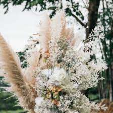 How do you plant pampas grass? China Pampas Grass Stems Fluffy Pampas Plant Decor Pampas Wedding Decor Bouquet Boho Bohemian Wedding Flower Fluffy Pampas China Pampas And Dried Pampas Grass Price