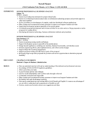 Job search is an exhausting process. Senior Professional Business Analyst Resume Samples Velvet Jobs