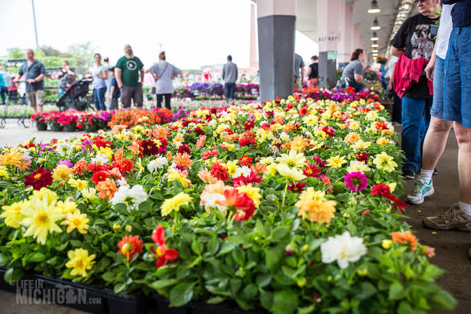Mga resulta ng larawan para sa Flower market in Detroit"