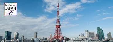 Wear comfortable footwear because you may have to climb up to the observational decks using stairs and you have to stand for a while. Ausblick Von Der Obersten Aussichtsplattform Des Tokyo Tower Ana