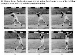 Finished 4th at 2018 cwg. Analyze The Motions Of The Right Hip And Pelvis Only Chegg Com