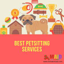 Read on for grooming guides, nutrition information, safety tips. Get Uae S Best Pet Care Services From Tomatomaid From Here You Will Get Best And Affordable Pet Care Services From The List Tomatom Pet Care Pets Pet Sitters
