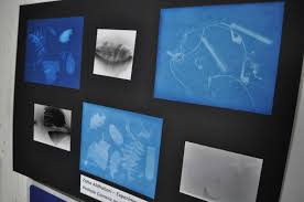 Content and presentation will be assessed. Gcse Photography