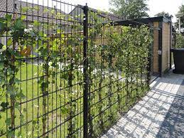 Als metallzaun eignet sich auch ein schöner, dekorativer schmiedezaun, bei dem in punkto design fast. Metall Gartenzaun Online Kaufen Komplette Pakete Zaunonline
