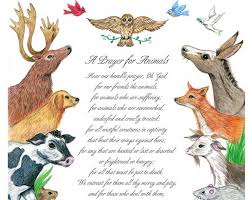 Ella Wheeler Wilcox Poem Illustrated With Animals 8 X Etsy Animal Poems Animals Animal Hospital