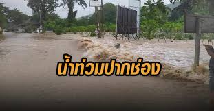 ต.ท่าอุแท ต.คลองสระ อ.กาญจนดิษฐ์ ต.ชลคราม ต.ปากแพรก อ.ดอนสัก เป็นพื้นที่. à¸™ à¸³à¸— à¸§à¸¡à¸›à¸²à¸à¸Š à¸­à¸‡ à¹‚à¸„à¸£à¸²à¸Š