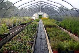 Greenhouse At The Farm C Pwsteinbeiser Com Nursery Jobs Landscape Design Farm Nursery